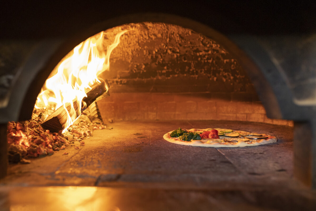 kinds of pizza professional ovens